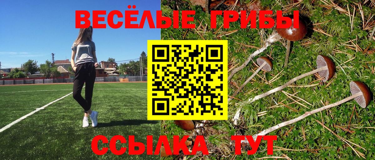 Псилоцибиновые грибы Psilocybine cubensis Шатура