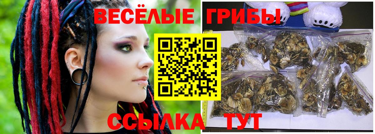Шатура  Галлюциногенные грибы GOLDEN TEACHER  Вход с VPN 