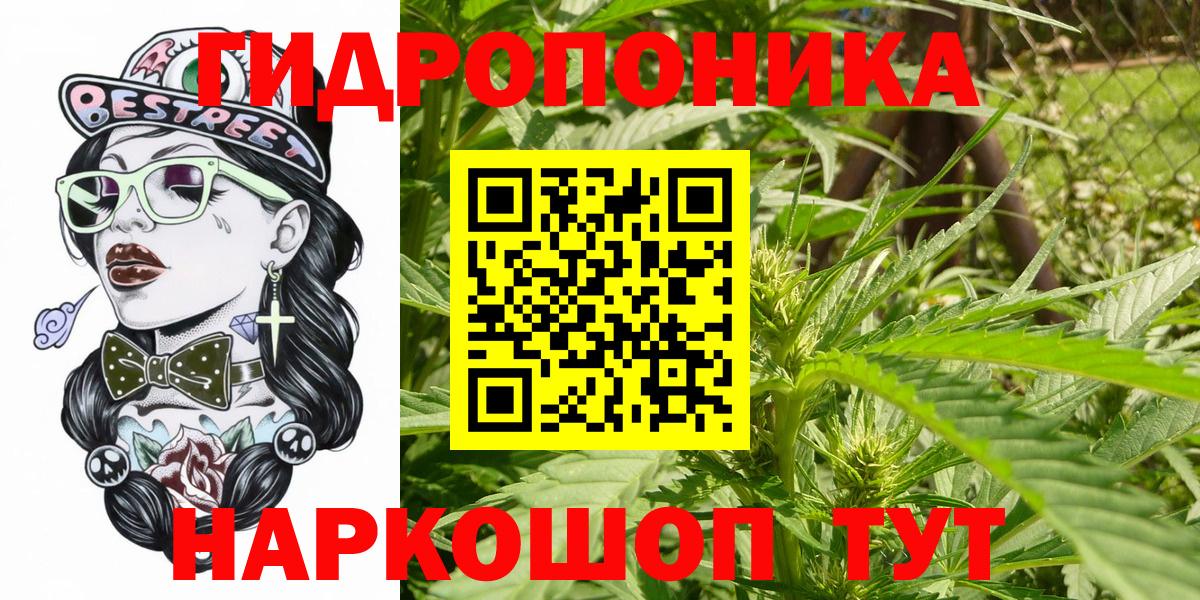 Шатура  Бошки Шишки ГИДРОПОН  Вход с VPN  Каннабис Amnesia 